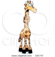 Download from thousands of premium neck illustrations and clipart images by megapixl. Royalty Free Rf Clipart Illustration Of A Giraffe With His Neck In A Knot By Cory Thoman 231747
