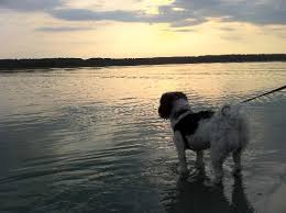 beautiful sunsets picture of goose rocks beach cape