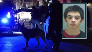 Officials Metro Gang Unit Suspect Who Tried To Run Down Officers Booked Into Salt Lake County Jail Gephardt Daily