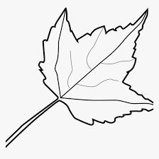 Maybe you would like to learn more about one of these? Leaf Outline Images Maple Leaf Outline Clip Art At Leaf Clipart Black And White Hd Png Download Transparent Png Image Pngitem