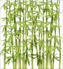 Bamboo Free Vector Download 226 Free Vector For Commercial Use Format Ai Eps Cdr Svg Vector Illustration Graphic Art Design Polish your personal project or design with these bamboo tree transparent png images, make it even more personalized and more attractive. ai eps cdr svg vector illustration