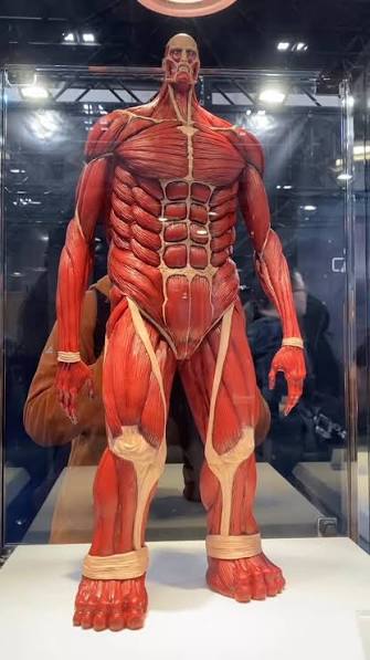 Revoltech Attack on Titan Colossal Titan by @kaiyodo_pr at Wonderfes Japan  2026 #revoltech #amazingyamaguchi #attackontitan