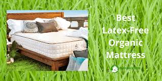 The 9 best organic mattresses. Latex Free Organic Mattress Best Option For You I Read Labels For You