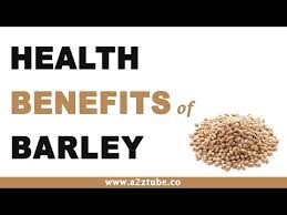 Bread products comprising waxy barley flour less the shortenings which were one of the staple ingredients for making bread products are essentially fat free have a longer shelf life and are healthier for people than conventional bread products. 25 Top Health Benefits Of Barley Hb Times