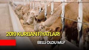 Buyukbas Ve Kucukbas Kurban Fiyatlari 2019 Belli Oldu Mu Kurban Fiyatlari Ne Kadar Yasam Haberi Gunes