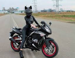 Kedi Kask