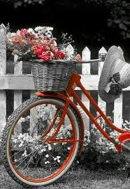 Black And White Bike Color Pin By Yuliya On Velosiped S Cvetami Bicycle Decor Bicycle Pictures Bike Planter