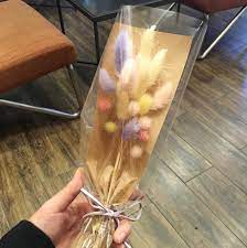 光滿天星還不夠 像棉花糖一樣的的毛毛兔尾草 更能滿足你的花花世界就是它 popdaily 波波黛莉 dried flowers