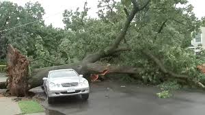 Vehicles crushed by trees in Queens during soaking storms