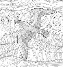 Also most are either gray or white in color. Flying Seagull With High Details Adult Antistress Coloring Page Royalty Free Cliparts Vectors And Stock Illustration Image 67823984