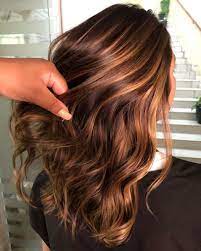 60 Looks With Caramel Highlights On Brown And Dark Brown Hair Strawberry Blonde Highlights Dark Hair With Highlights Brown Hair With Blonde Highlights