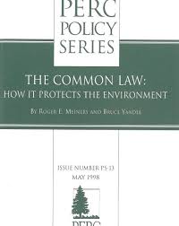 Overview of legislation, policy and funding programmes for the protection of the environment. The Common Law How It Protects The Environment