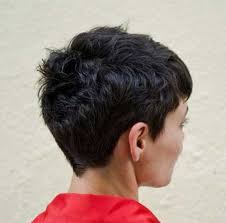 Collection of long hairstyles for girls. Short Hairstyles For Dark Hair
