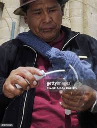 236 Dead Sprout Stock Photos, High-Res Pictures, and Images