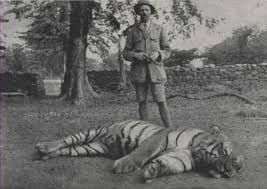 7 Tiger hunting in india, Tiger ...