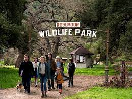 „cu trenuleţul la grădina zoologică copiii au manifestat o curiozitate şi o grijă deosebită faţă. Avem O GrÄƒdinÄƒ ZoologicÄƒ Film DupÄƒ O Intamplare AdevÄƒratÄƒ Urbankid Ro E Fun SÄƒ Fii PÄƒrinte