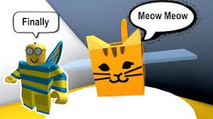 This codes will help you acquire the level more quickly. Spending Heaps Of Tickets And Getting The Tabby Bee Bee Swarm Simulator Cute766