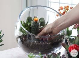 Whether you are making a dish garden for inside, or a large container or bed outside. Succulent Garden Bowl