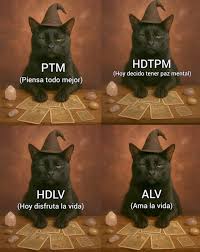 Descubre 900+ ideas de Frases y frases bonitas en este ...