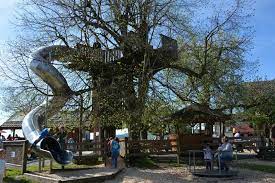 spielplatz restaurant alpenhof kussnacht gasthaus landwirtschaft kinderspielplatz kletterpark seilpark rigi kletterpark spielplatz kinderspielplatz