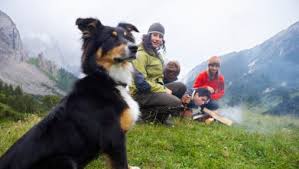 If you are looking for the very best care for your pet, look no further. Happy Tails Camping With Your Dog