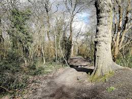 Wimbledon common, putney heath, and putney lower common. Goodgym Wandsworth April London Long Run Wimbledon Common And