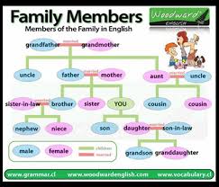 Familial Relations In English American English Culture Hearing Culture Visualvocabulary Showing English Vocabulary Family In Spanish Learning Spanish