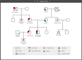 Free Medical Genogram Template Fppt