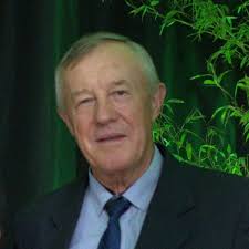 Carta de Serviços Câmara de Travesseiro