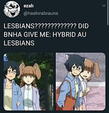 Ok Bnha Lesbians My Hero Academia Manga My Hero My Hero Academia Shouto