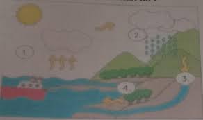 Begitu pula, evaporasi berbeda dengan distilasi, karena disini uapnya biasanya komponen tunggal, dan walaupun uap itu merupakan campuran, dalam proses evaporasi ini tidak ada usaha untuk. Tahapan Siklus Air Yang Ditunjukkan Nomor 1 Padagambar Di Samping Adalah A Presipitasib Brainly Co Id