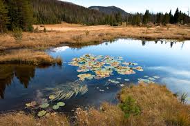 the wests great river hits its limits will the colorado