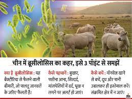Meaning, pronunciation, synonyms, antonyms, origin, difficulty, usage index and more. What Is Brucellosis That Infected Thousands In China Malta Fever All You Need To Know About Brucellosis Q And A The Havoc Of Brucellosis Spread By Air And Animals Bacteria From