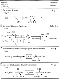 We did not find results for: The Molecular Basis Of Substrate Channeling Journal Of Biological Chemistry
