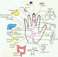 Acupressure Points Chart Pdf Www Bedowntowndaytona Com