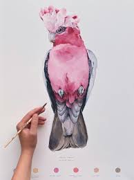 Galah Parrot Etsy In 2021 Art Painting Bird Art Art