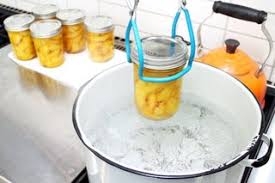 A Beginners Guide To Canning At Home 17 Steps With Pictures