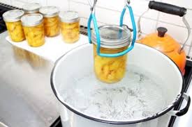 A Beginners Guide To Canning At Home 17 Steps With Pictures