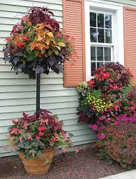 Kinsmangarden Com Container Gardening Garden Containers Plants