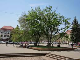 Places baia mare business serviceemployment agencyrecruiter locuri de munca baia mare. Ce Poti Sa Vizitezi Un Weekend La Baia Mare Blogul Travelminit Ro