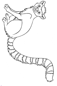 Up to 12,854 coloring pages for free. Lemur Coloring Page Animals Town Free Lemur Color Sheet