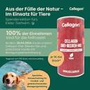 Hubert's • Feines für Mensch & Tier on X: "Aktion bei Cellagon ...