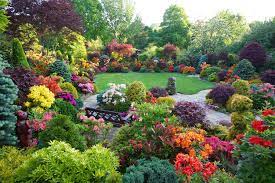 Beautiful Azalea Flowers In Early Summer June 8th Most Beautiful Gardens Beautiful Home Gardens Backyard Garden Landscape