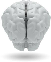 Les opposants à la pma, voire certains de ses partisans, craignent que la procréation médicalement assistée ouvre la voie aux mères porteuses de la gestation pour autrui. Pma Institute Progressive Mental Alignment