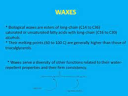 Lipids Ppt Video Online Download