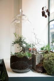 Diy Faire Son Propre Terrarium Plante Pour Decorer La Maison Beautiful Terrariums Terrarium Plants Terrarium