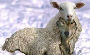 Lyrics © bmg rights management us, llc powered by lyricfind. The Meaning And Origin Of The Expression A Wolf In Sheep S Clothing