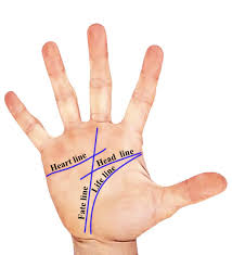 Palm Lines And Meanings Palmistry Basics Palm Reading Palmistry Palmistry Reading
