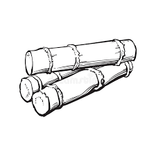 Sugar Cane Plant Drawing Stock Illustrations 168 Sugar Cane Plant Drawing Stock Illustrations Vectors Clipart Dreamstime Choose from 350+ sugar cane graphic resources and download in the form of png, eps, ai or psd. sugar cane plant drawing stock