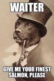 Check spelling or type a new query. Why Salmon Is Awesome For Dogs Awesome Pawsome Pet Treats